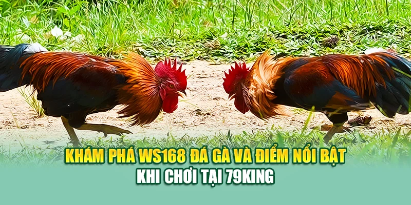 Ws168 Đá Gà – Đấu Trường Gà Trực Tuyến Hàng Đầu Tại 79king 1 Khám phá WS168 đá gà và điểm nổi bật khi chơi tại 79King