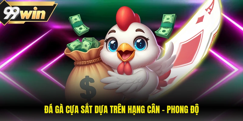 Đá gà cựa sắt dựa trên hạng cân - phong độ