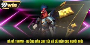 Đá Gà Thomo - Hướng Dẫn Chi Tiết Và Dễ Hiểu Cho Người Mới