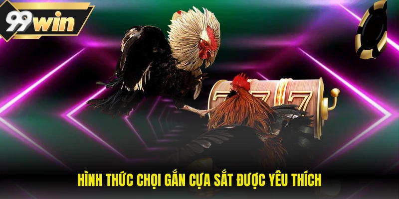 Hình thức chọi gắn cựa sắt được yêu thích