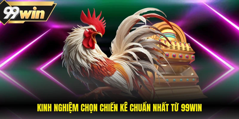 Kinh nghiệm chọn chiến kê chuẩn nhất từ 99WIN