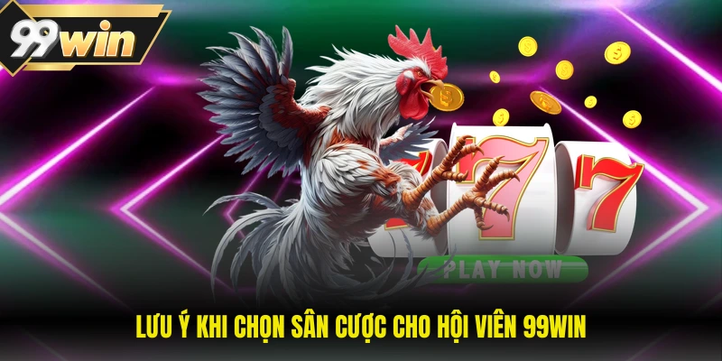 Lưu ý khi chọn sân cược cho hội viên 99WIN