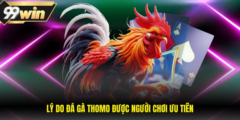 Lý do đá gà thomo được người chơi ưu tiên