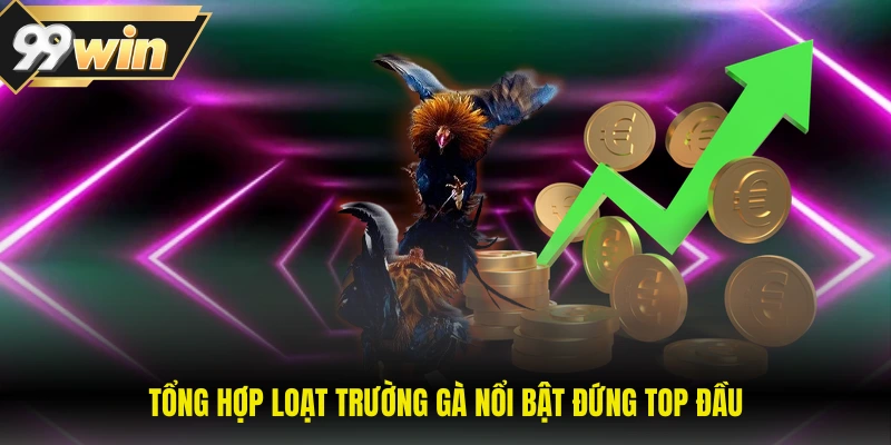 Tổng hợp loạt trường gà nổi bật đứng top đầu
